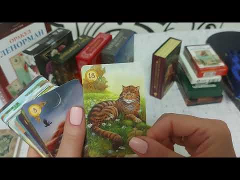 Видео: Обзор моих колод 📚💞 поговорим о моих любимых картах и более востребованных ♥️📩🌎
