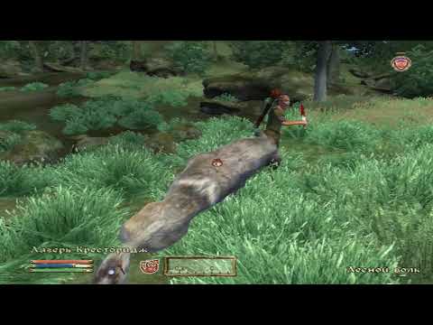 Видео: Oblivion Святилище Ноктюрнал