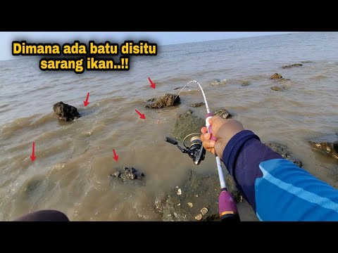 Видео: Рыболовы редко знают, что в таких местах на самом деле водится рыба.