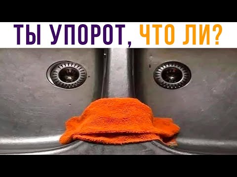 Видео: КРЯковина)) Показалось?) Приколы | Мемозг 654