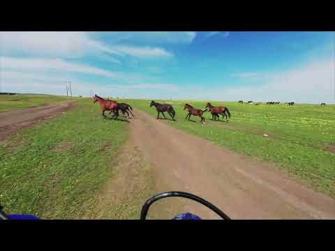 Видео: Долина реки Хасаут + перевал "Восьмерка"