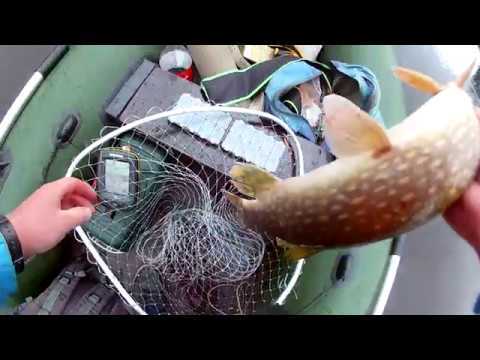 Видео: Микроджиг на Salamander Solid Concept