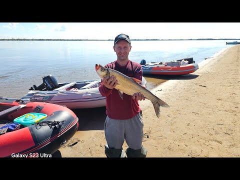 Видео: Рыбалка с ночёвкой на Амуре. 13.09.2025