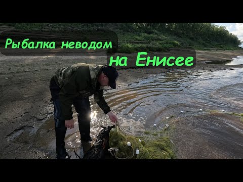 Видео: -ЛОВИМ ТУГУНА БРЕДНЕМ | РЫБАЛКА НА ЕНИСЕЕ-