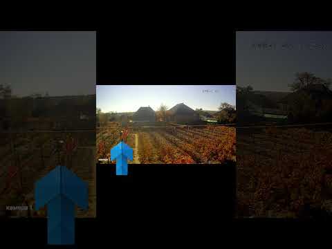 Видео: 2 ноября 2025 г.