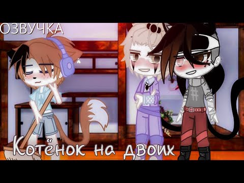 Видео: Озвучка Сериала 🐾😻 Котёнок на двоих 🐈🎶 Гача Лайф - Gacha Life [Яой]