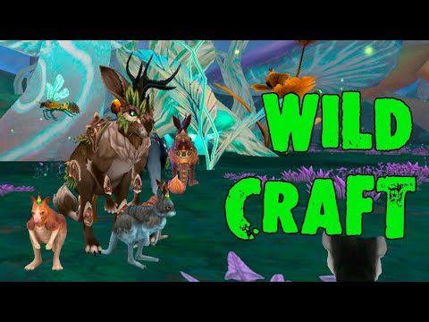 Видео: Пополняем семью кенгуру, родились три кенгуренка 🦘 WildCraft