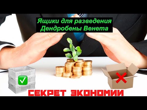 Видео: Ящик для разведения червя Дендробены, экономия на стартапе