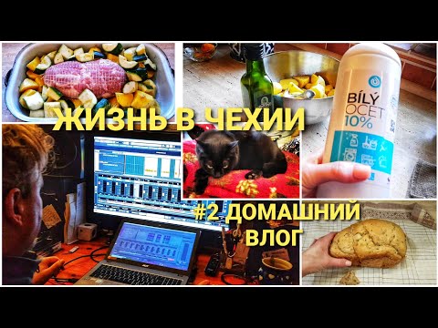 Видео: ЖИЗНЬ В ЧЕХИИ, ДОМАШНИЙ ВЛОГ#2: БЫТ, ГОТОВКА, СТИРКА. ЛАЙФХАКИ ЧЕШЕК. ДОМАШНЯЯ СТУДИЯ. ЗАМУЖ ЗА ЧЕХА