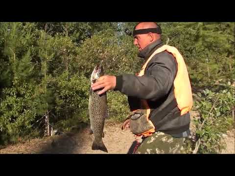 Видео: Всё лето на острове. 7 серия 