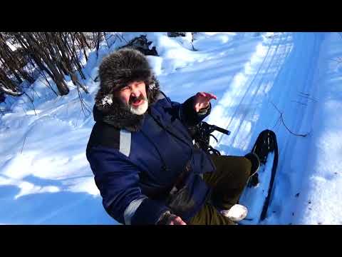 Видео: Поймать зайца на бобриный капкан #3