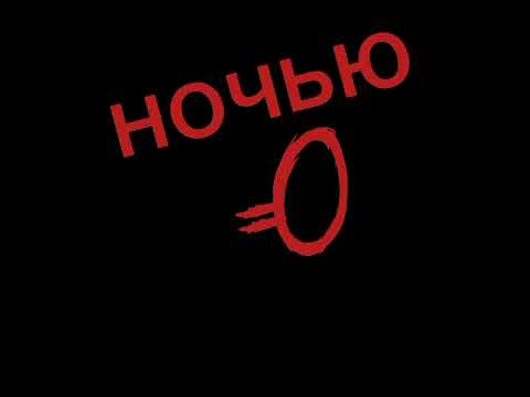 Видео: Проверка кошки |•моя говорящая кошка •|