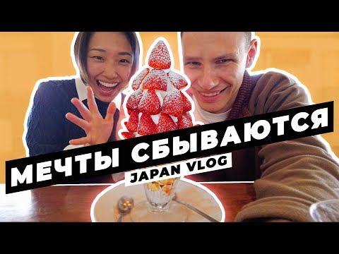 Видео: Встреча, которую мы ждали почти 4 года 🇯🇵 Японский влог