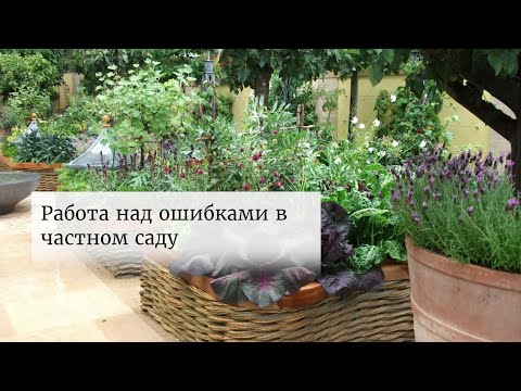 Видео: Работа над ошибками в частном саду