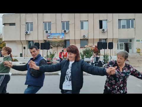 Видео: Тудоро, Тудоро и китка песни (Дайчово хоро) - Ирена Станкова 