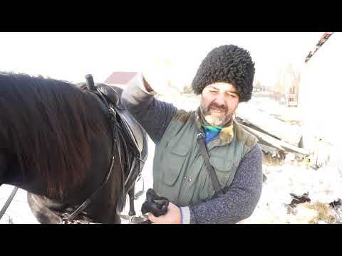 Видео: Казачий стиль верховой езды