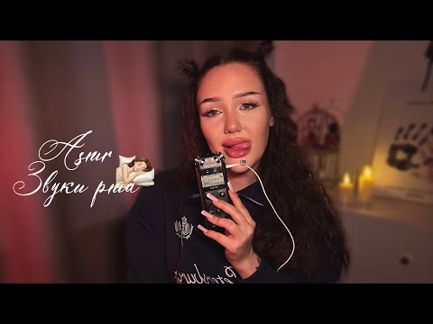 Видео: асмр звуки рта🫰🏽| кусаю tascam 🫦