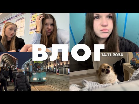 Видео: ВЛОГ | мой школьный день 🏫