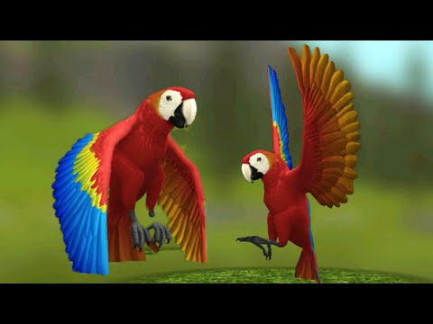 Видео: Бесстрашные и милые ПОПУГАИ в WildCraft