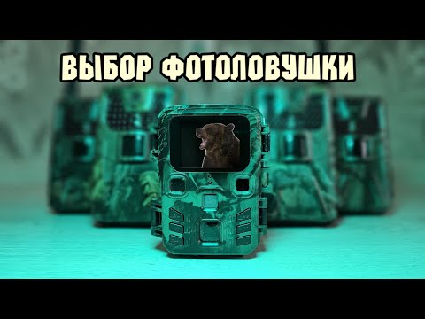 Видео: Какую фотоловушку выбрать? Отвечаю на вопросы зрителей.