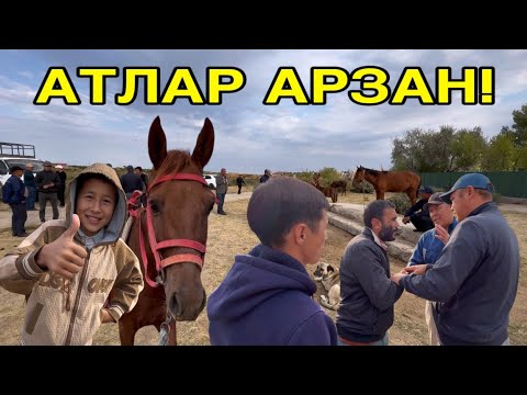 Видео: 28-СЕНТЯБР ШЫМБАЙ АТ БАЗАРЫ БАХАЛАРЫ ӨЗГЕРДИ! ӨЗ АЛДЫНА ТУСИРДИМ!