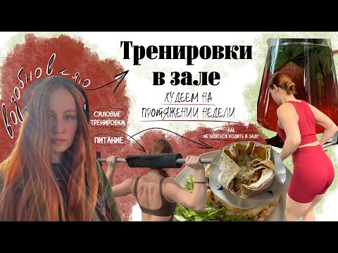 Видео: Худею на протяжении недели | возобновляем тренировки в зале| быстрые пп блюда и упражнения