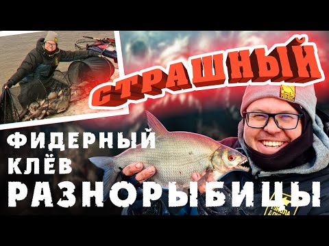 Видео: Страшный фидерный клёв разнорыбицы. Школа Донной Ловли.