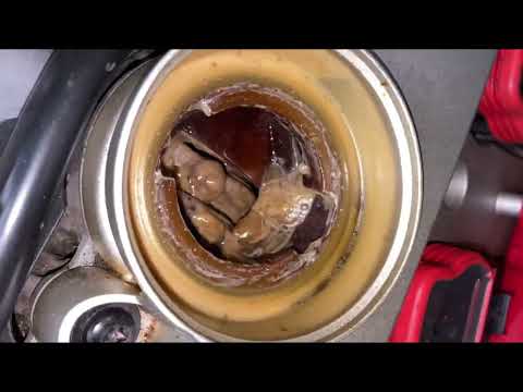 Видео: Audi S5 3.0TFSI охлаждающая жидкость в масле! Какие повреждения двигателя?