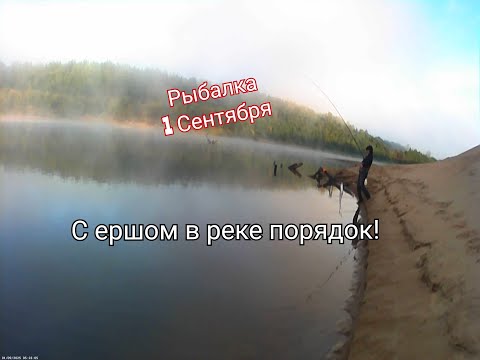 Видео: На рыбалку с батей 1-го Сентября / Ерши на дремлют!