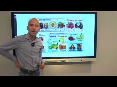 Видео: Интересно о плодах. Классификация плодов