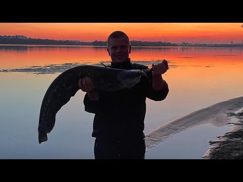 Видео: Рибалка на Сома з берега‼️Нарешті Клюнув той самий Сом , якого я чекав⚠️(1 Часть)Рибалка на Дніпрі