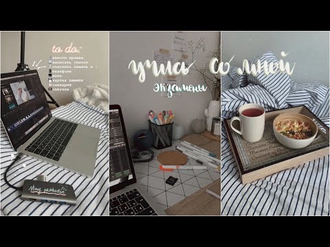 Видео: Study With Me #32 | подготовка к экзаменам | контрольные