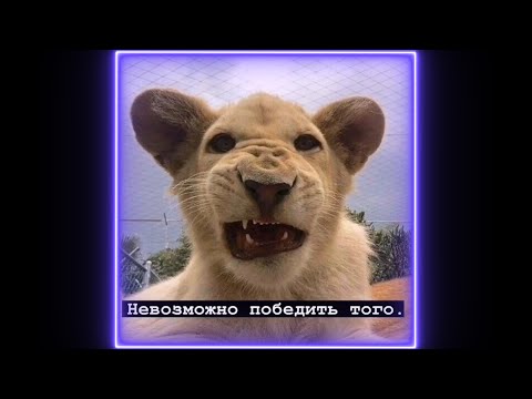 Видео: Лучшая подборка цитат | грустные, крутые, смешные цитаты | #49 | Best selection of quotes.