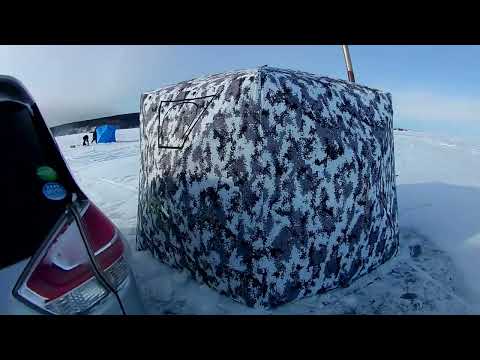 Видео: Рыбалка в Лазарев, Джаорэ.