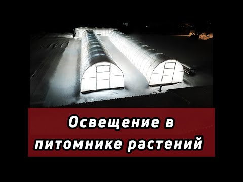 Видео: Как мы организовали освещение в теплице|НЕ досветка.