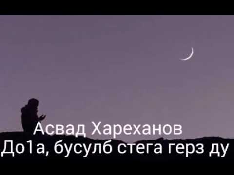 Видео: Хьехам Асвад Х.-До1а,бусулб стега герз ду☝💫