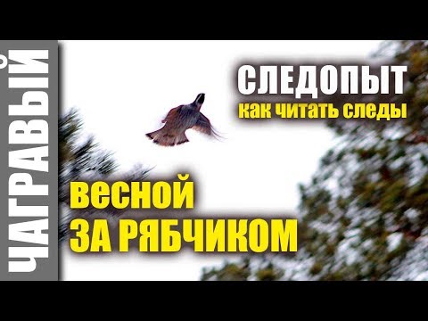 Видео: РЯБЧИК меня ОБМАНУЛ но я не промах, нашел его по следам