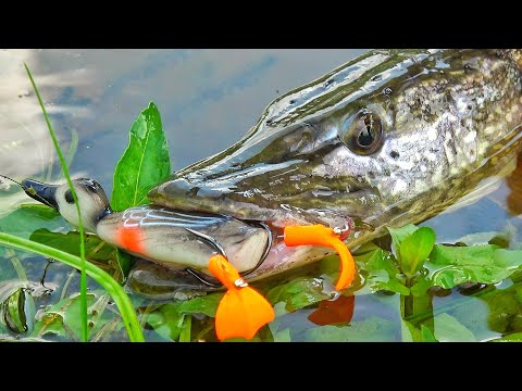 Видео: КАРАСИ НА УДУ И ЩУКИ НА УТКУ! САМАЯ ЗРЕЛИЩНАЯ РЫБАЛКА! РЫБАЛКА С НОЧЕВКОЙ В МАШИНЕ ЧАСТЬ 2