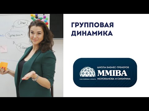 Видео: Вебинар по управлению групповой динамикой. Тренинг тренеров MMIBA