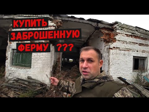 Видео: КУПИТЬ ЗАБРОШЕННУЮ ФЕРМУ ? БИЗНЕС НА ОТКОРМЕ БЫКОВ ,КОРМЛЮ БЫКОВ ЯБЛОКАМИ