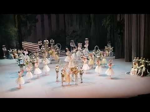 Видео: Спящая красавица 1 ноя вечер 2025