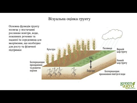 Видео: Візуальна діагностика грунтів та рослин - Биков Микола