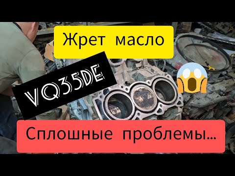 Видео: Hyundai H-1 c VQ35DE жрет масло, сплошные проблемы...