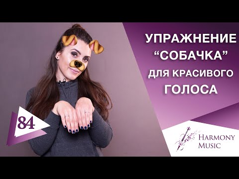 Видео: Упражнение «собачка» для красивого голоса. Урок вокала 84.