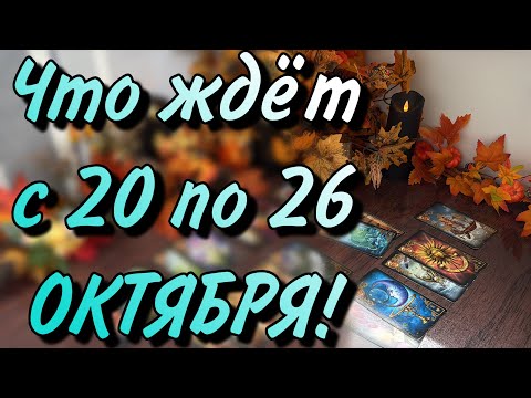 Видео: 🍂☘️Что ЖДЕТ с 20 по 26 ОКТЯБРЯ🌳