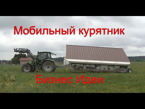 Видео: Содержание кур несушек в Мобильном курятнике Бизнес идея