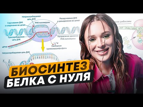 Видео: Как БЕЗ ОШИБОК решать задания по биосинтезу белка? / Важные НЮАНСЫ для ЕГЭ по биологии!