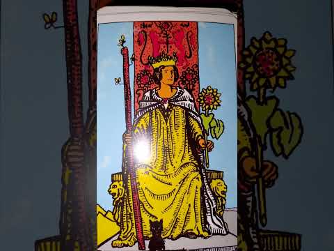 Видео: ВОЗМОЖНО ЛИ ИНТЕЛЛЕКТУАЛЬНОЕ ОБЩЕНИЕ МЕЖДУ МУЖЧИНОЙ И ЖЕНЩИНОЙ? писательница Татьяна Трофименко