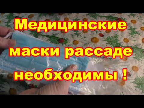 Видео: Используем использованные маски с пользой для растений и для всей земли!