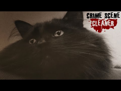 Видео: ДРУЖЕСТВЕННЫЙ ОГОНЬ ► Crime Scene Cleaner ► ПРОХОЖДЕНИЕ (7)